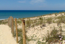 Camping Brémontier - Lège-Cap-Ferret