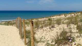 Camping Brémontier - Lège-Cap-Ferret