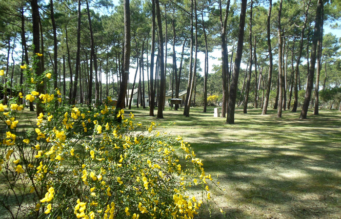Camping Brémontier 3 - Lège-Cap-Ferret