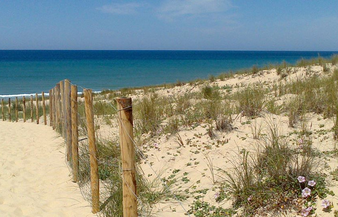 Camping Brémontier 1 - Lège-Cap-Ferret