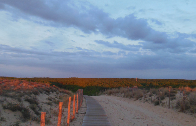 Camping Brémontier 15 - Lège-Cap-Ferret