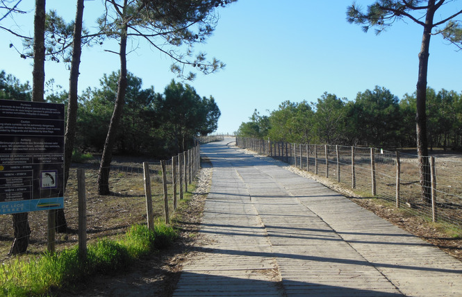 Camping Brémontier 8 - Lège-Cap-Ferret