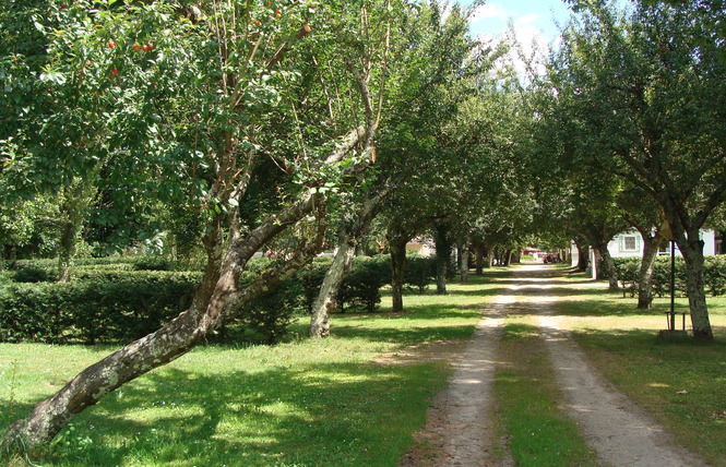 Camping Les Terres du Maine Blanc 11 - Saint-Christoly-de-Blaye