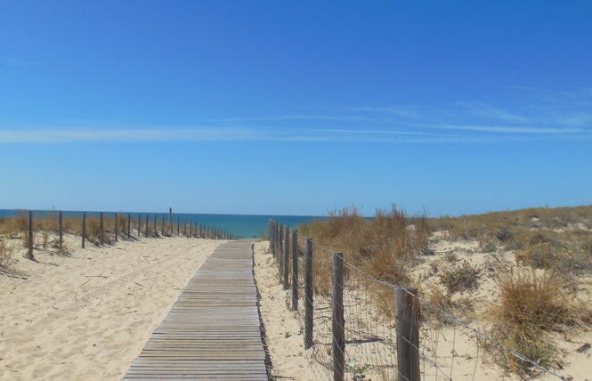 Camping Brémontier 4 - Lège-Cap-Ferret