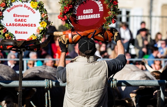 Fête des Boeufs Gras de Bazas 4 - Bazas