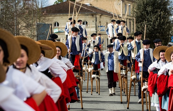 Fête des Boeufs Gras de Bazas 2 - Bazas
