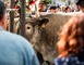 Fête des Boeufs Gras de Bazas 5 - Bazas