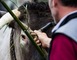 Fête des Boeufs Gras de Bazas 6 - Bazas
